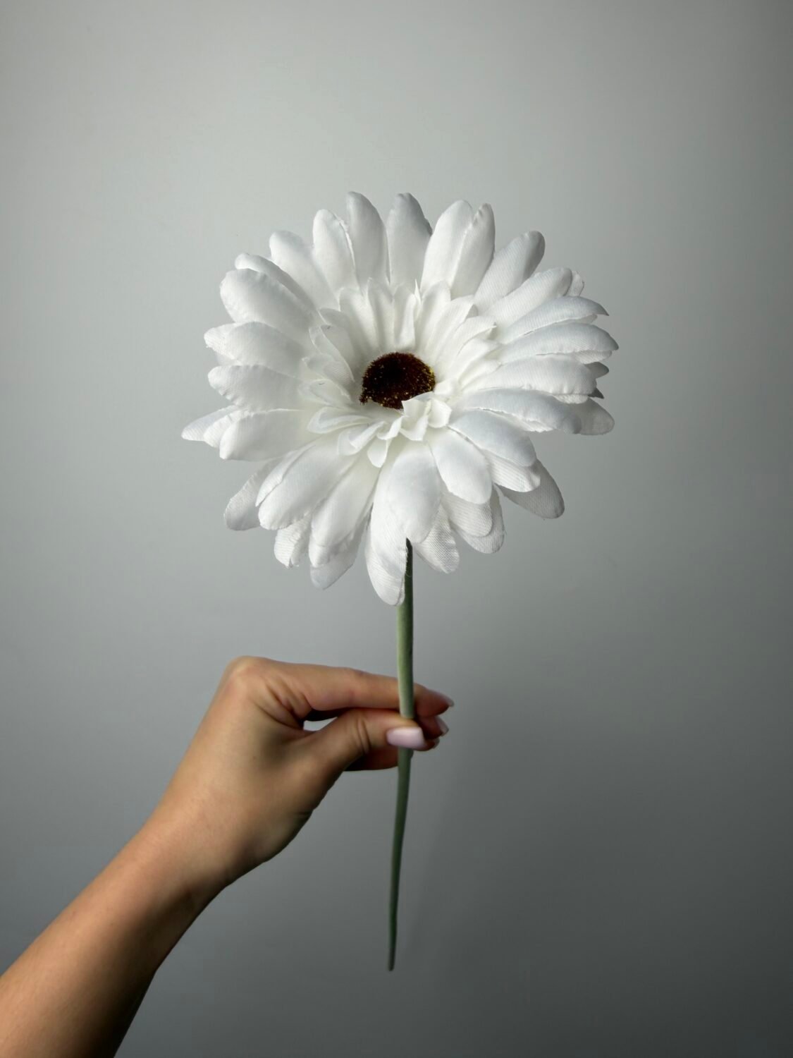 img_0836 Гербера гілка біла - Зображення 1