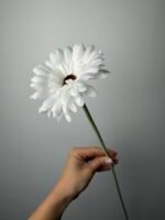 Гербера гілка біла - Зображення 2