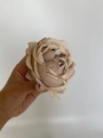 троянда VIP відкрита беж