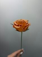 Троянда VIP міні руда - Зображення 3