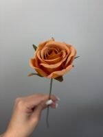 Троянда VIP міні руда - Зображення 2