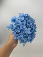 Гортензія преміум блакитна - Зображення 2