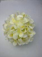 Гортензія real tauch лимонна 26 см