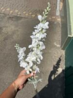 Дельфініум подвійний білий - Зображення 2