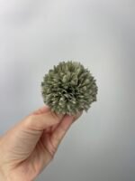 Жоржина пух зелена - Зображення 2