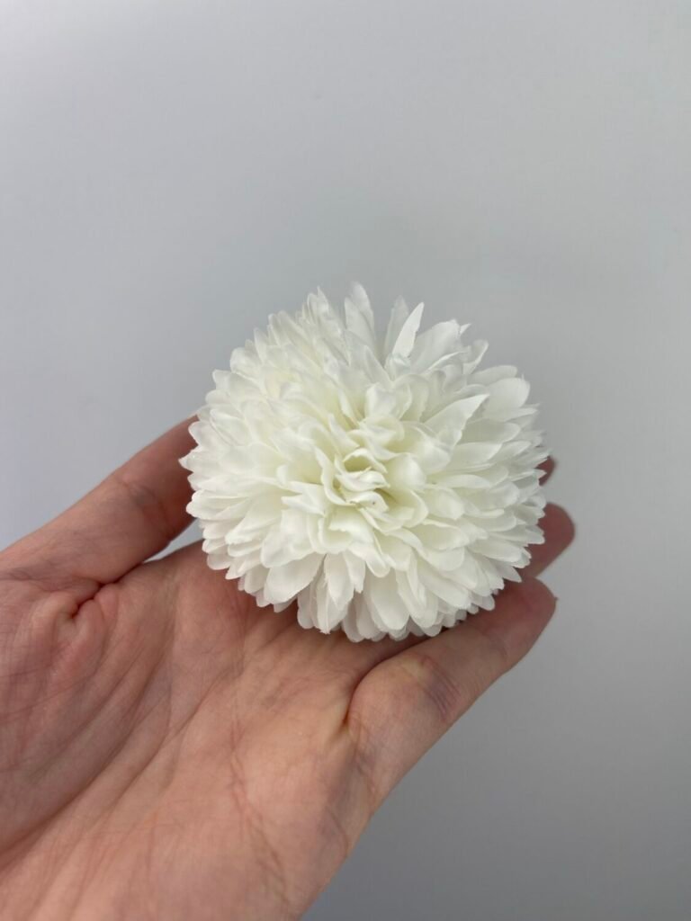 Головна img 8137