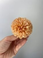 Жоржина пух руда - Зображення 2