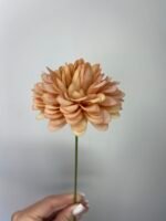 Жоржинка руда - Зображення 4