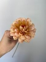 Жоржинка руда