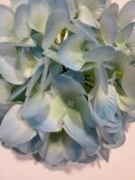 Гортензія real tauch світло блакитна 26 см - Зображення 4