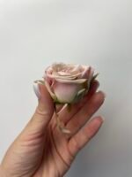 Троянда VIP міні пудра - Зображення 3