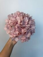 Гортензія люкс пудра 24 см - Зображення 2