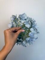 Гортензія люкс блакитна 24 см - Зображення 2