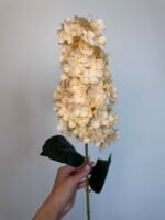 Гортензія гілка персик