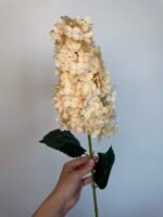 Гортензія гілка персик - Зображення 2