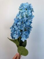 Гортензія гілка блакитна