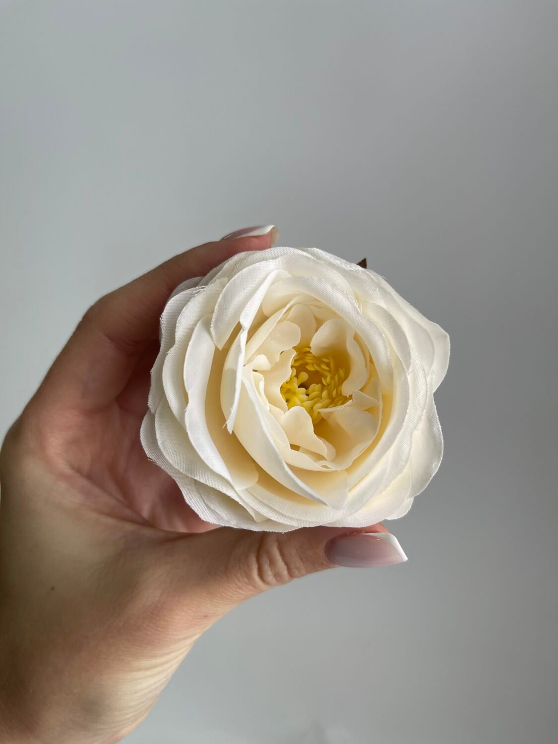 img_8415 Піоновидна троянда крем - Зображення 1