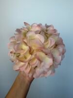 Гортензія real tauch рожева 26 см - Зображення 3