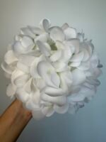 Гортензія real tauch біла 26 см