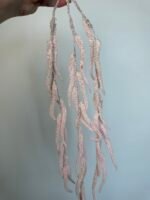 Амарант рожевий - Зображення 3