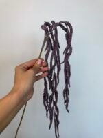 Амарант фіолетовий - Зображення 2