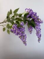 Гліцинія світло фіолетова 5 суцвіть