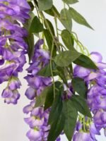 Гліцинія світло фіолетова 5 суцвіть - Зображення 2