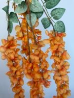 Гліцинія  оранж 6 суцвіть - Зображення 3