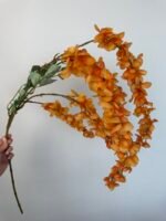 Гліцинія оранж 6 суцвіть - Зображення 2