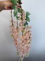 Гліцинія  пудра 6 суцвіть