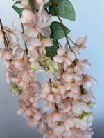 Гліцинія  пудра 6 суцвіть - Зображення 3