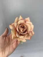 Троянда відкрита руда