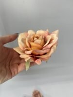 Троянда відкрита руда - Зображення 2