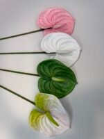 Антуріум преміум біло-зелений - Зображення 6