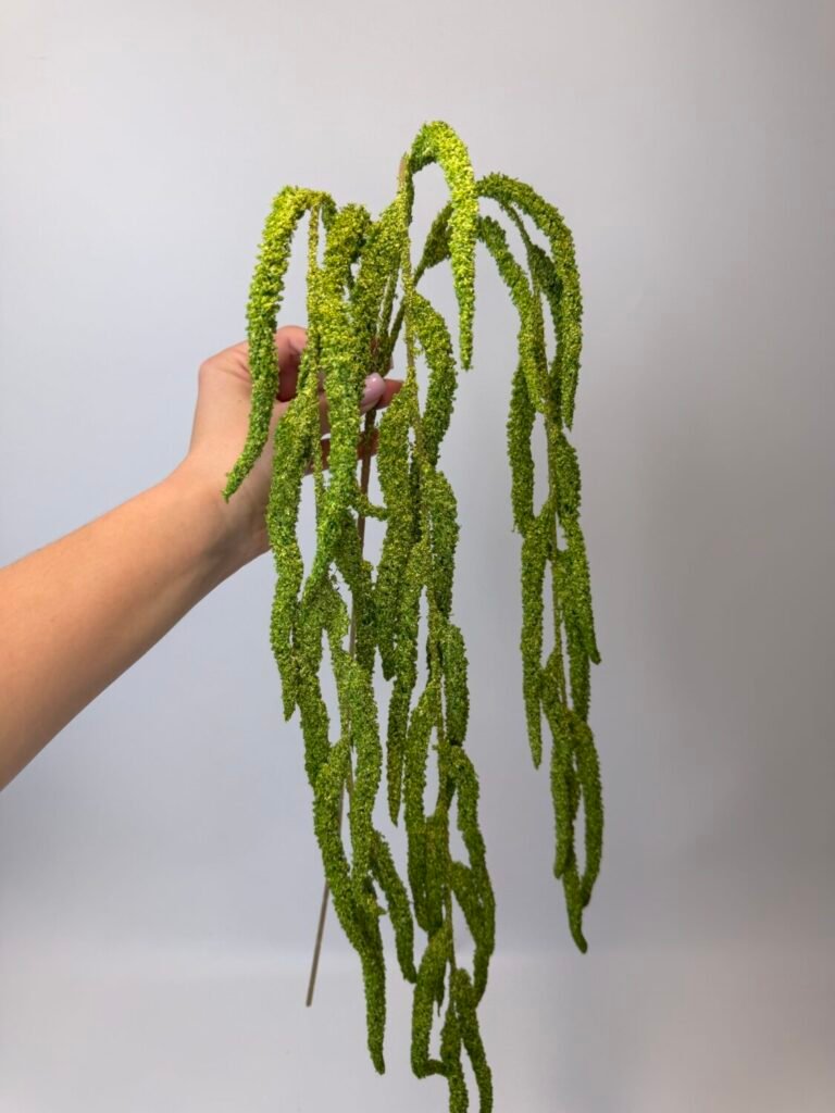 Головна img 8948