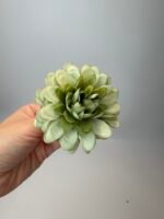 Жоржинка оливка