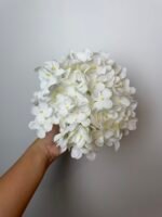 Гортензія преміум біла - Зображення 2