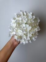 Гортензія преміум біла