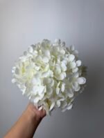 Гортензія преміум молочна - Зображення 2