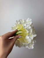 Гортензія преміум молочна - Зображення 3