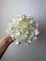 Гортензія преміум молочна