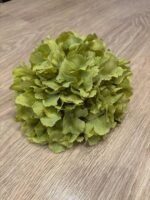 Гортензія люкс зелена 24 см - Зображення 3