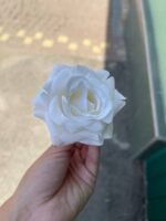 Троянда люкс маленька молочна