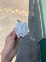 Троянда люкс маленька молочна - Зображення 2