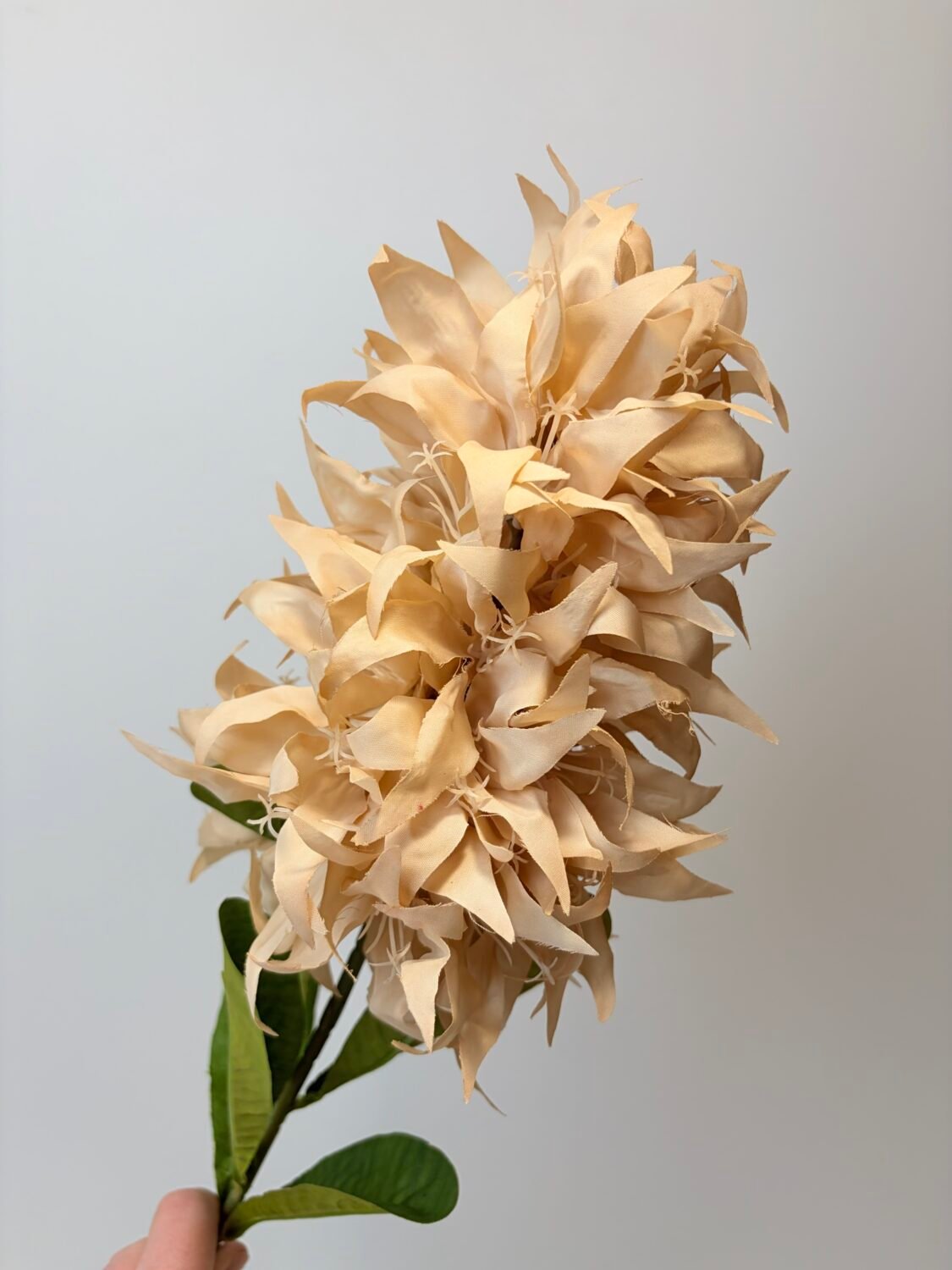 img_1208 Декоративна гілка з цвітом богенвілії беж - Зображення 1