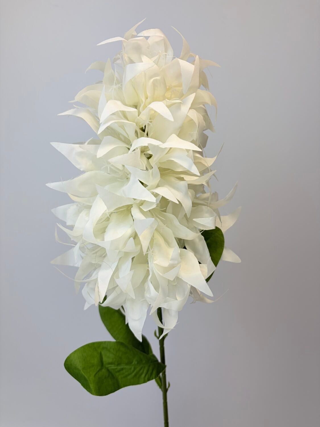 img_1210 Декоративна гілка з цвітом богенвілії біла - Зображення 1