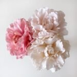 Голівки квітів