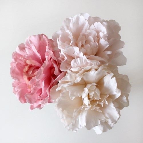 Головна img 6077