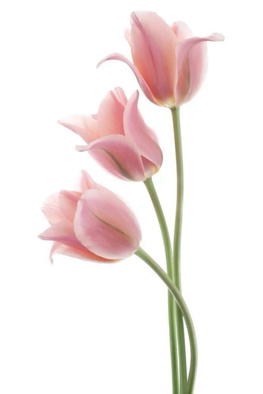 Головна img 6078