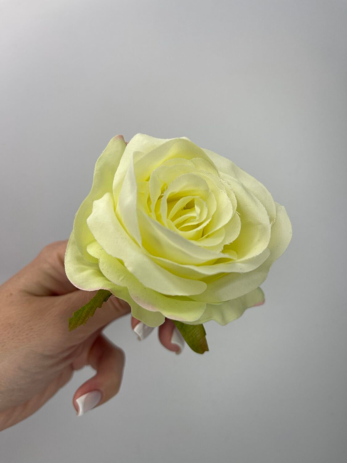 img_8125 Троянда бутон середня салатова - Зображення 1